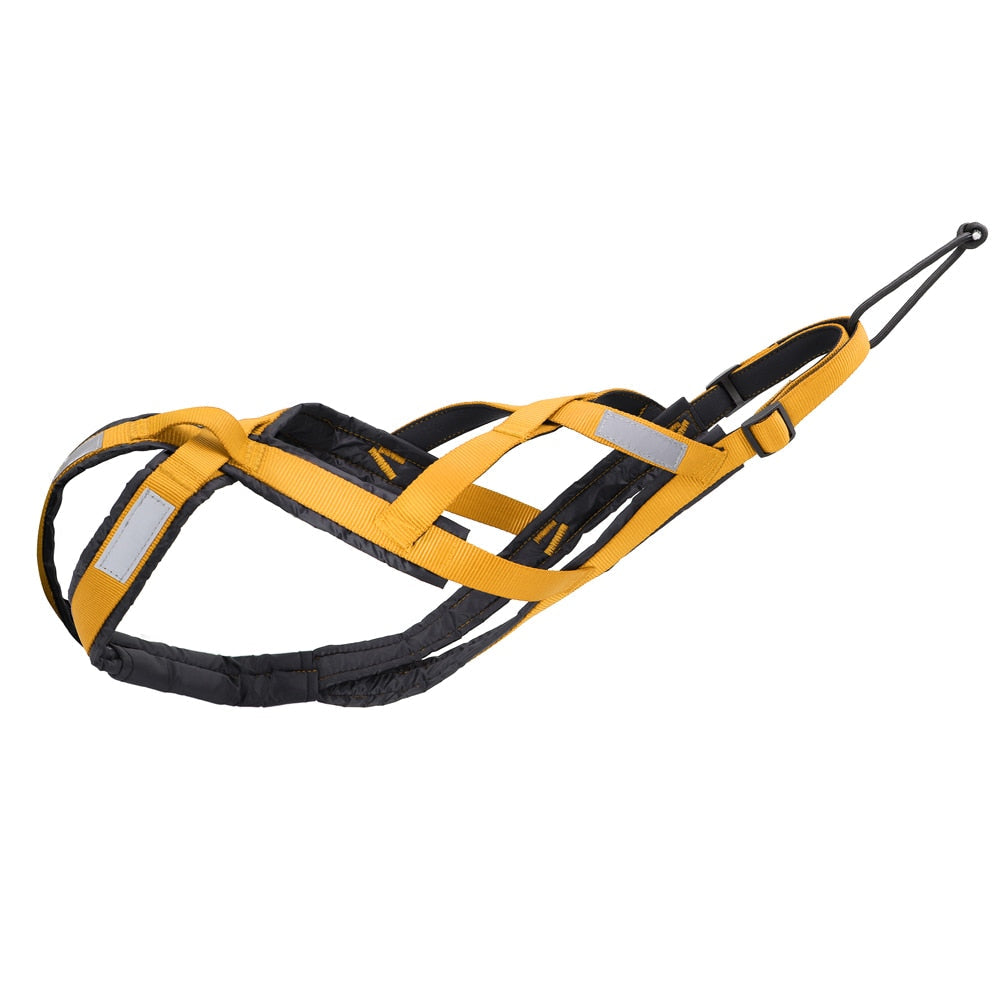 Harnais chien de traction X-back pour canicross - Jaune