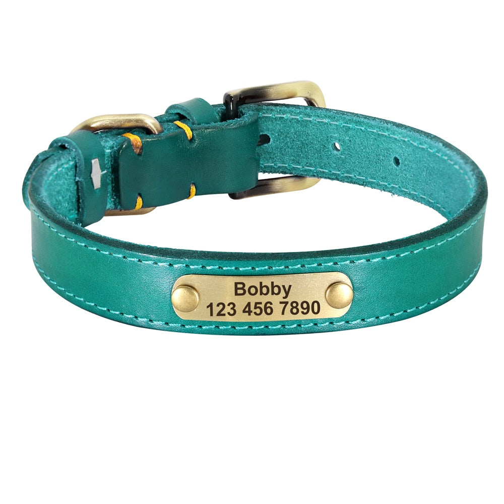 Collier chien personnalisé en cuir PU vert réglable