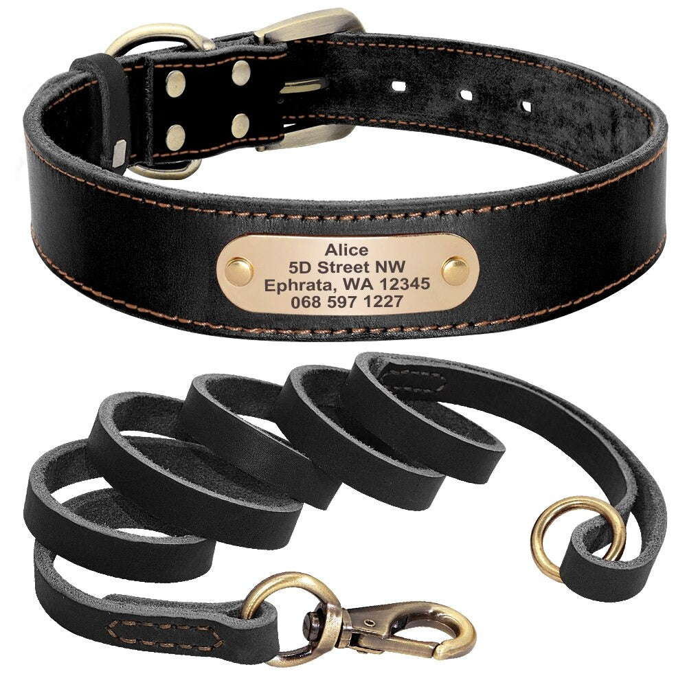 Collier personnalisé pour chien en cuir PU plaque métal