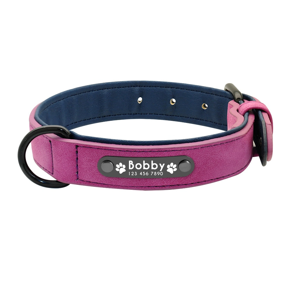Collier personnalisé pour chien simili cuir rembourré