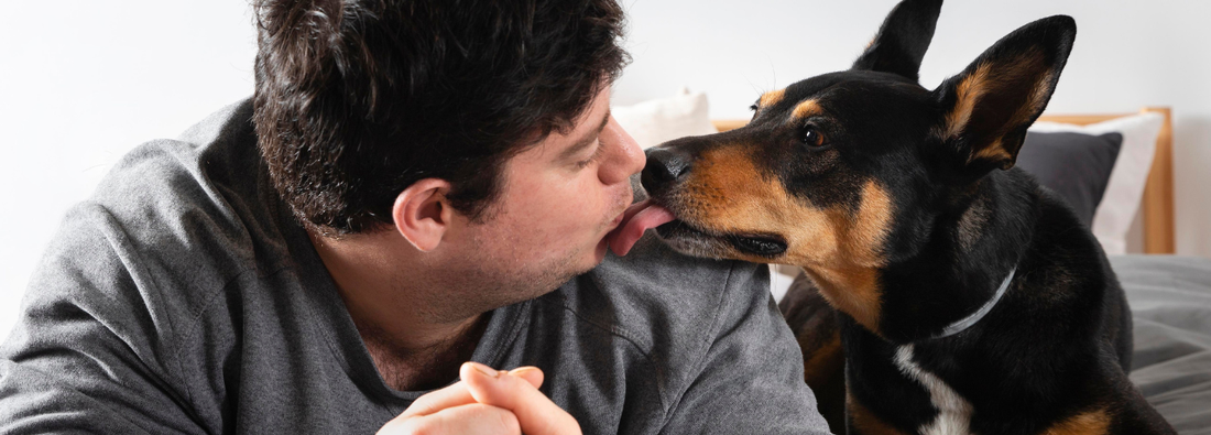 Pourquoi mon chien me lèche ?