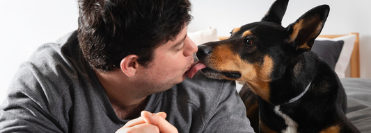 Pourquoi mon chien me lèche ?