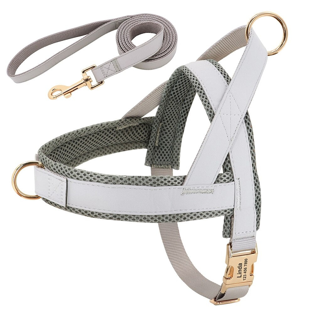 Harnais chien personnalisable en simili cuir - Gris avec laisse