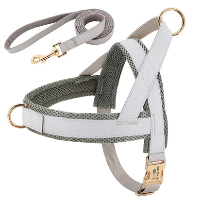 Harnais chien personnalisable en simili cuir - Gris avec laisse