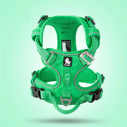 Harnais chien en Y réfléchissant, uni ou à motifs - Vert