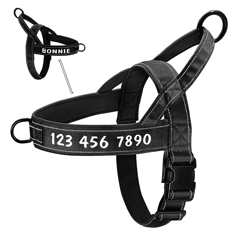 Harnais chien norvégien personnalisable anti-traction - Noir