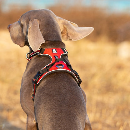 Harnais chien en Y réfléchissant, uni ou à motifs