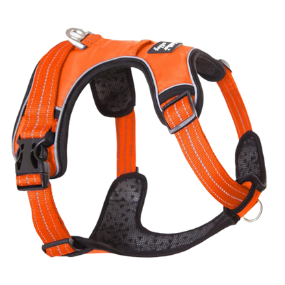 Harnais chien en Y anti-traction à sangles fines - Orange