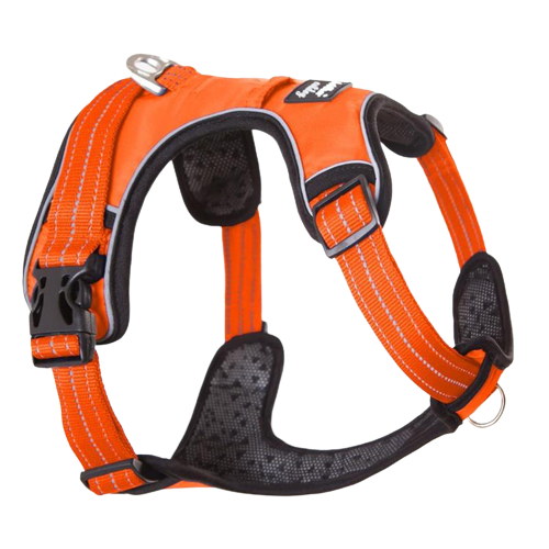 Harnais chien en Y anti-traction à sangles fines - Orange