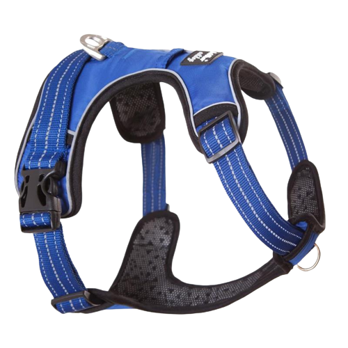 Harnais chien en Y anti-traction à sangles fines - Bleu
