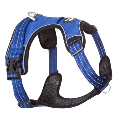 Harnais chien en Y anti-traction à sangles fines - Bleu
