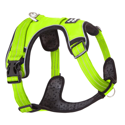 Harnais chien en Y anti-traction à sangles fines - Vert