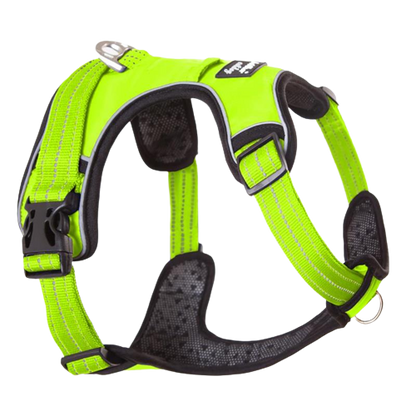 Harnais chien en Y anti-traction à sangles fines - Vert