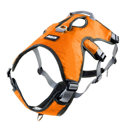 Harnais chien en Y léger à double attache - Orange