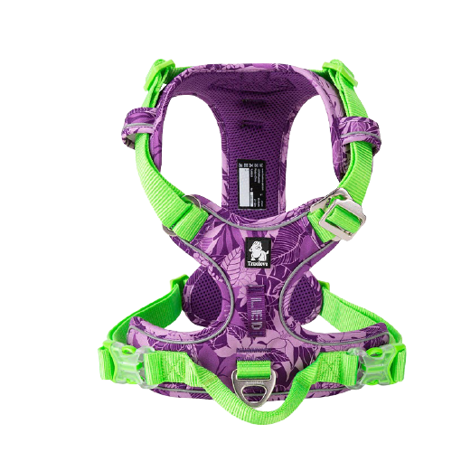 Harnais chien en Y réfléchissant, uni ou à motifs - Violet et vert