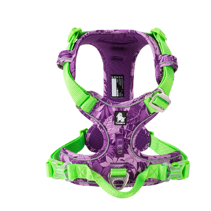 Harnais chien en Y réfléchissant, uni ou à motifs - Violet et vert