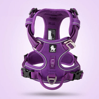 Harnais chien en Y réfléchissant, uni ou à motifs - Violet