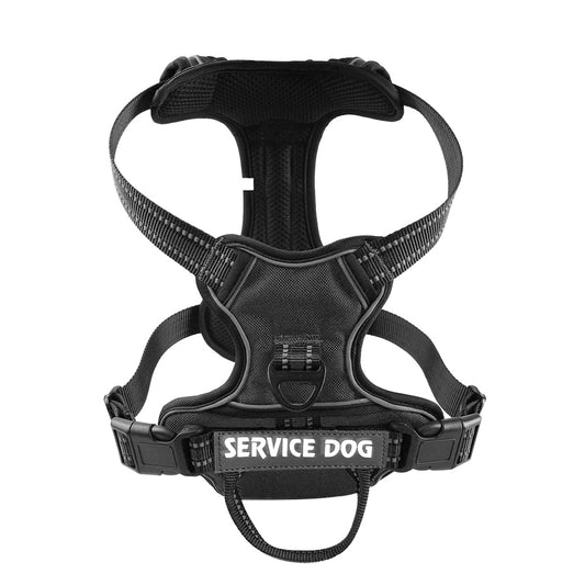 Harnais chien en Y réfléchissant à double attache - Noir