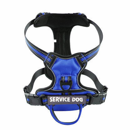 Harnais chien en Y réfléchissant à double attache - Bleu