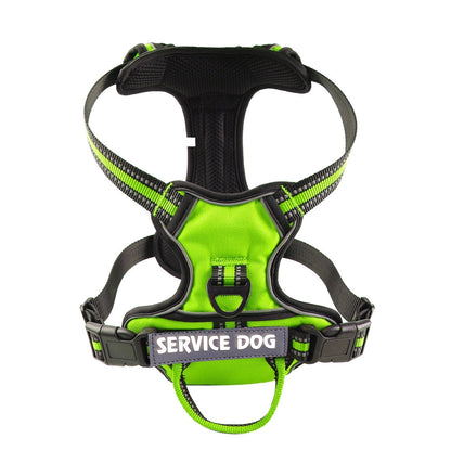 Harnais chien en Y réfléchissant à double attache - Vert