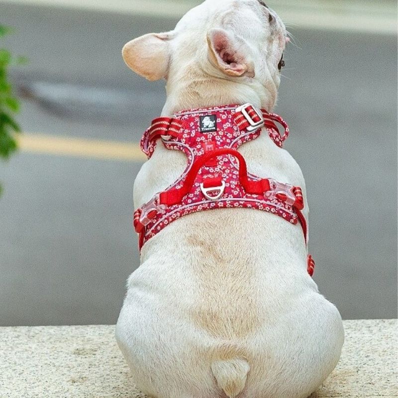 Harnais chien en Y réfléchissant, uni ou à motifs