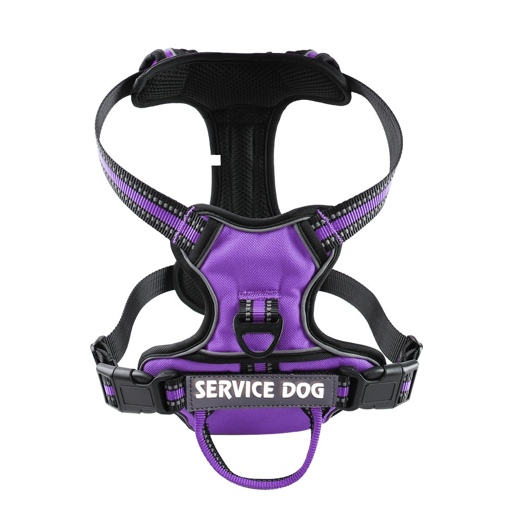 Harnais chien en Y réfléchissant à double attache - Violet