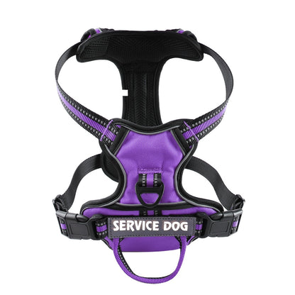 Harnais chien en Y réfléchissant à double attache - Violet