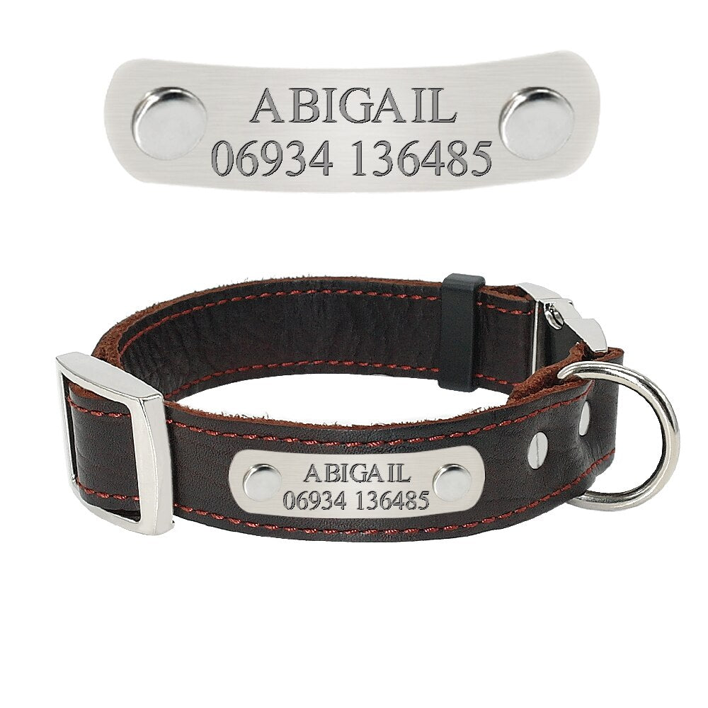 Collier marron taille XS avec plaque gravée pour petit chien
