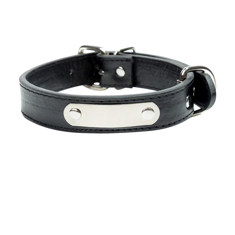 collier pour chien en cuir noir avec plaque gravée argentée