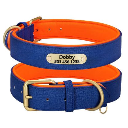 Collier de chasse bleu et orange gravé pour chien actif
