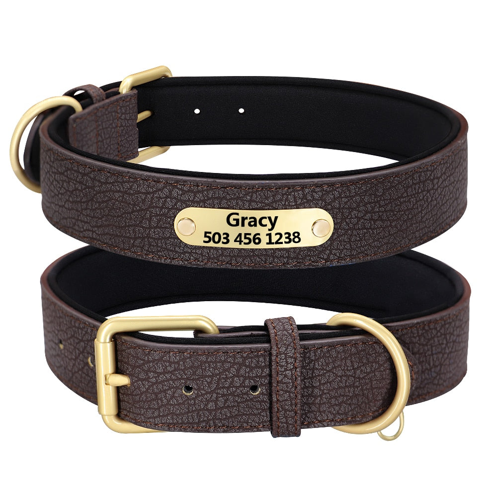 Collier pour chien noir gravé avec anneau en D doré