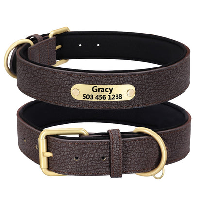 Collier pour chien noir gravé avec anneau en D doré