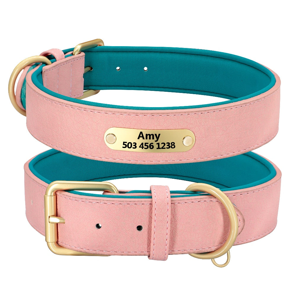 Collier pour chien rose et bleu avec plaque personnalisée