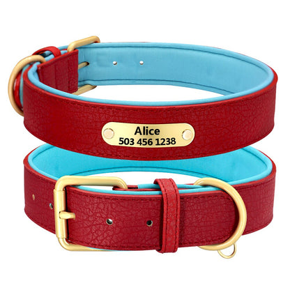 Collier pour chien rouge et bleu personnalisé avec boucle dorée