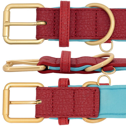 Vue générale du collier de chasse personnalisé en cuir bicolore
