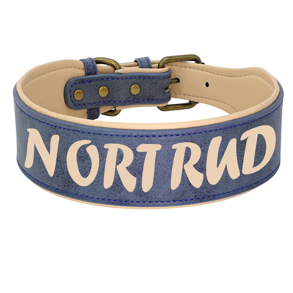 Collier large bleu et jaune personnalisé pour chien grand format