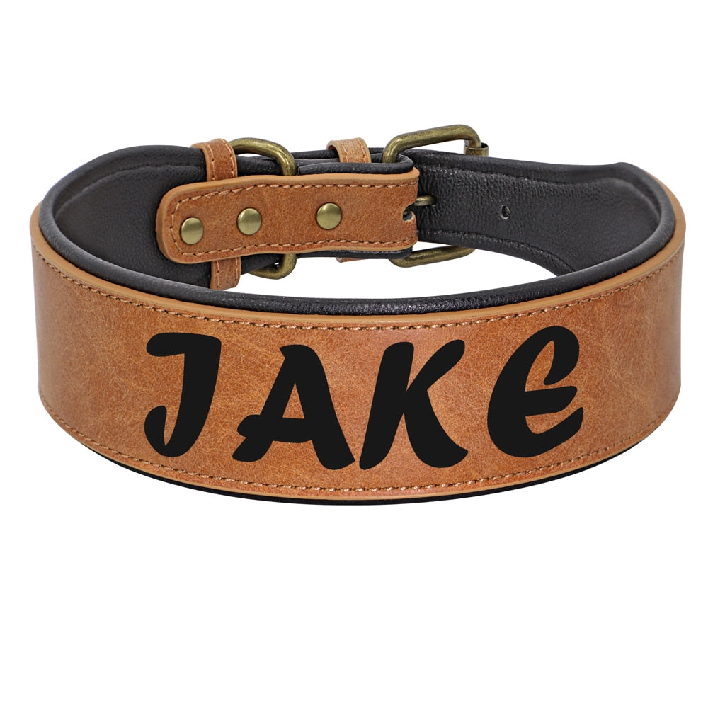 Collier large café et noir pour chien avec marquage personnalisé