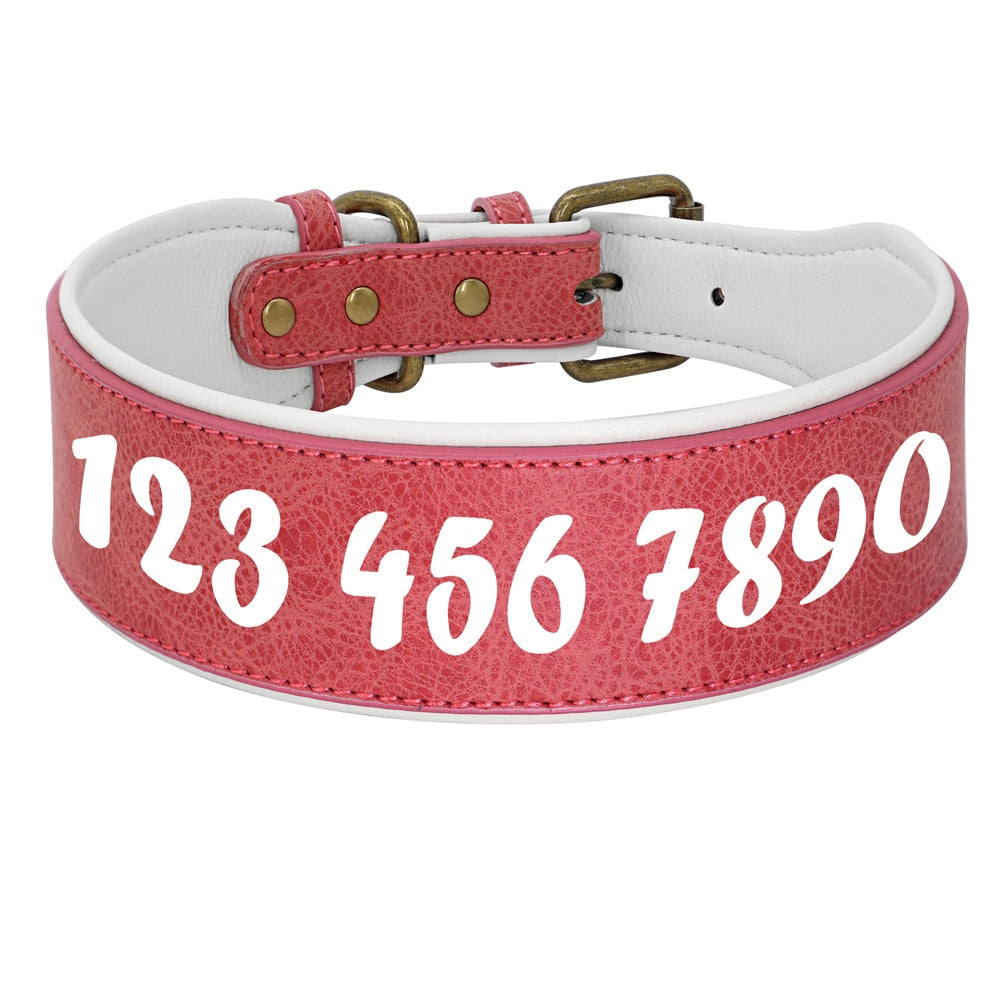Collier large rouge et blanc personnalisé pour chien avec prénom visible