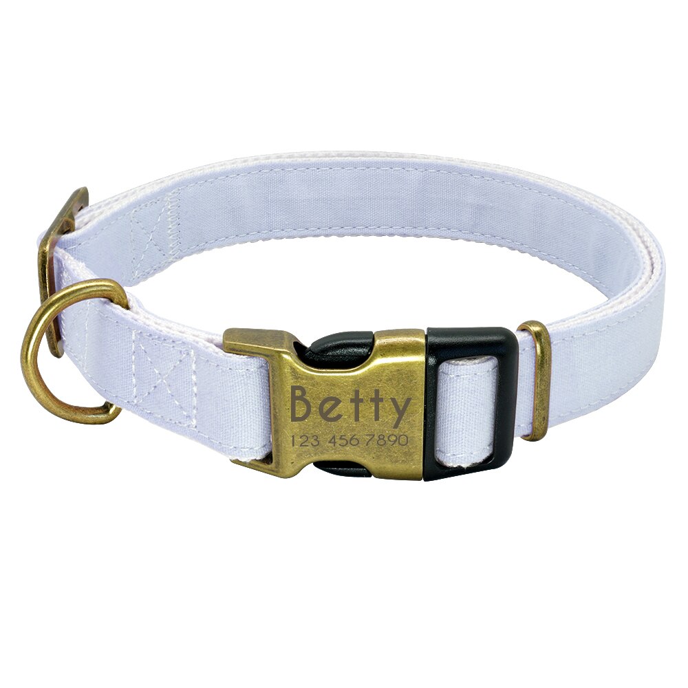 Collier bleu en nylon pour chien avec boucle dorée gravée