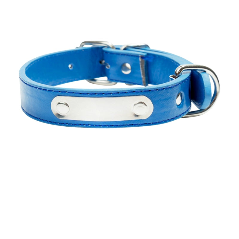 Collier pour chien bleu en cuir avec plaque gravable argentée