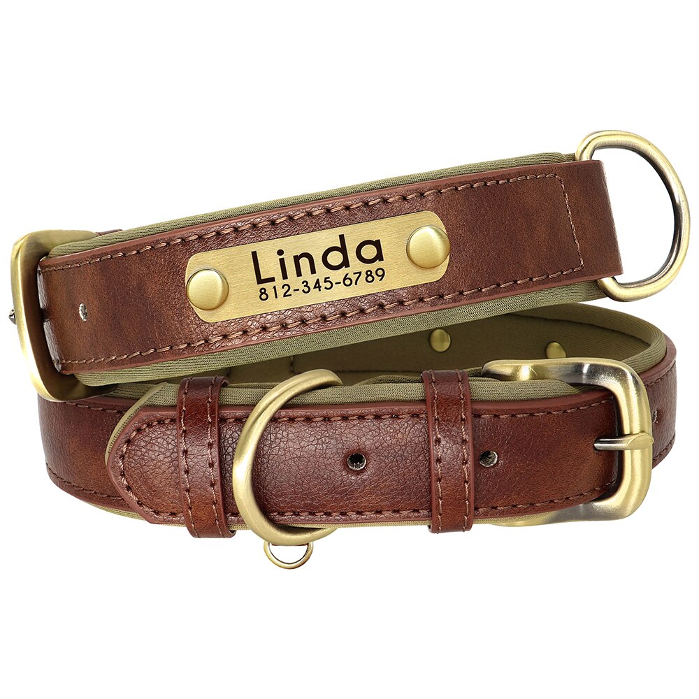 Collier personnalisé chien en cuir PU plaque gravée