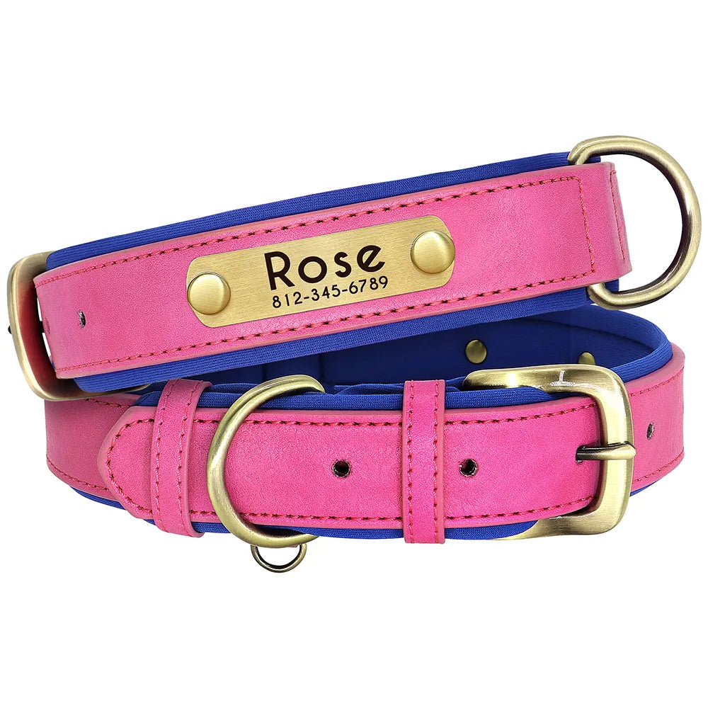 Collier pour chien en cuir rose foncé avec plaque dorée