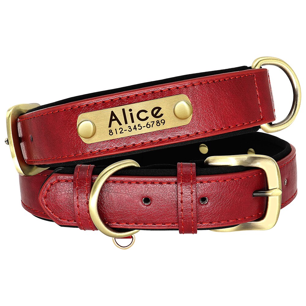 Collier pour chien en cuir rouge avec plaque dorée personnalisable