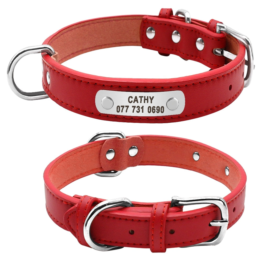 Collier pour chien rouge ajustable avec plaque d identification gravée