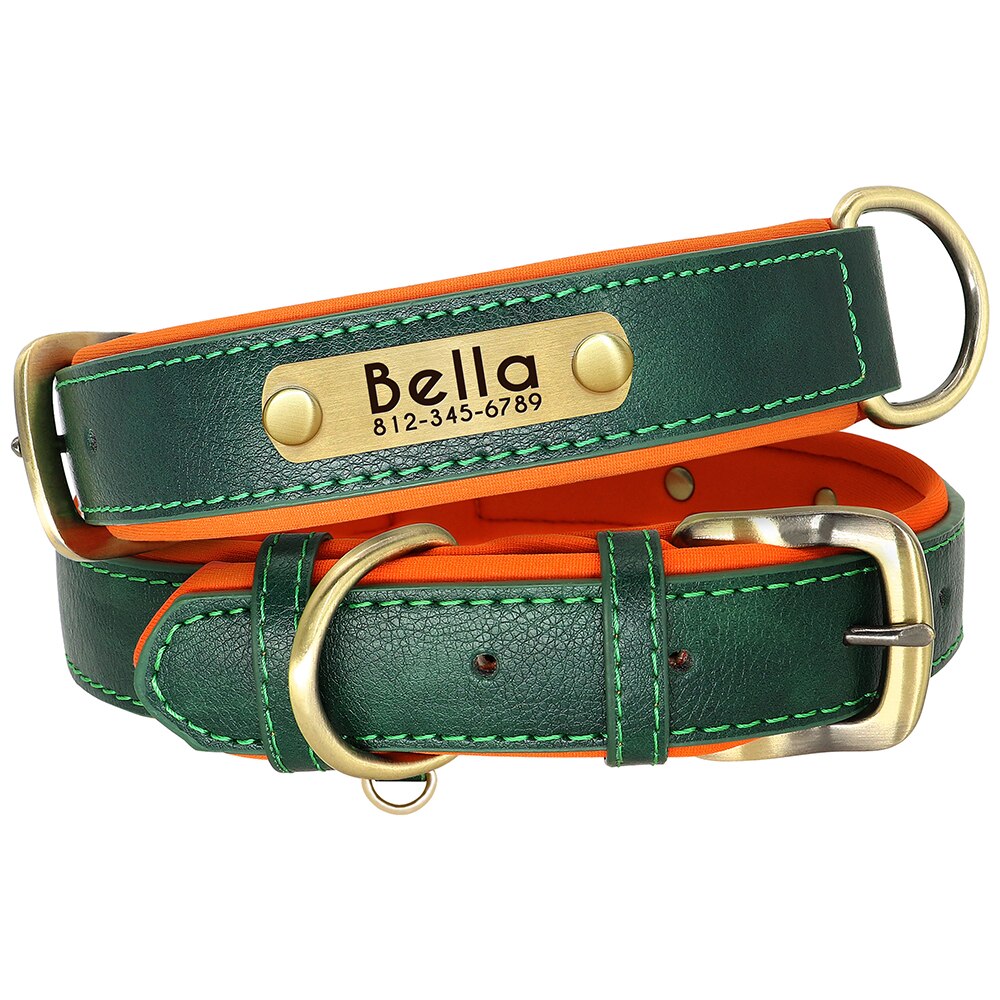 Collier pour chien en cuir vert avec plaque dorée gravée