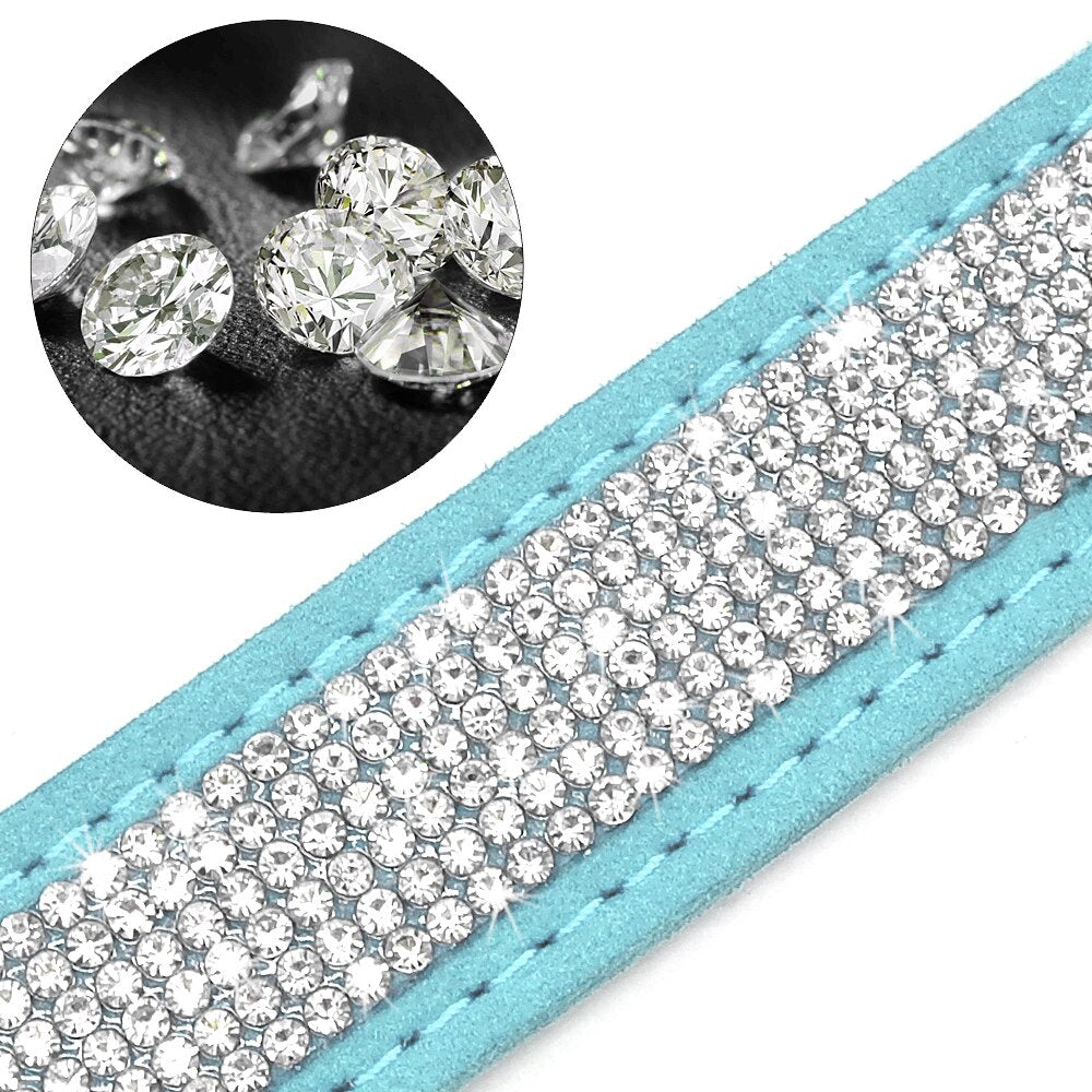 Détail du collier pour chien avec boucle métal et plaque frontale