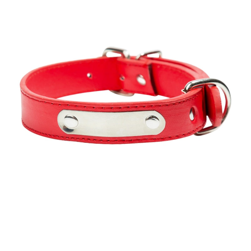 Collier pour chien en cuir rouge avec plaque métallique personnalisable