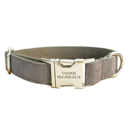 Collier personnalisé chien en velours avec plaque dorée