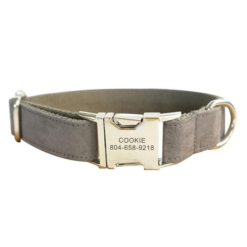 Collier pour chien en velours gris ajustable avec médaille dorée gravée