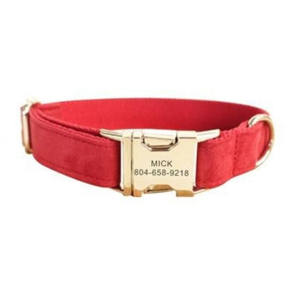 Collier personnalisé chien en velours avec plaque dorée